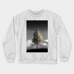 pleasant delirium Crewneck Sweatshirt